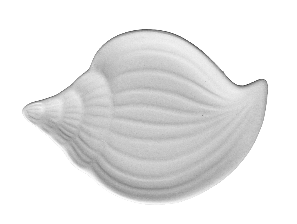 Muschel Teller SHELK