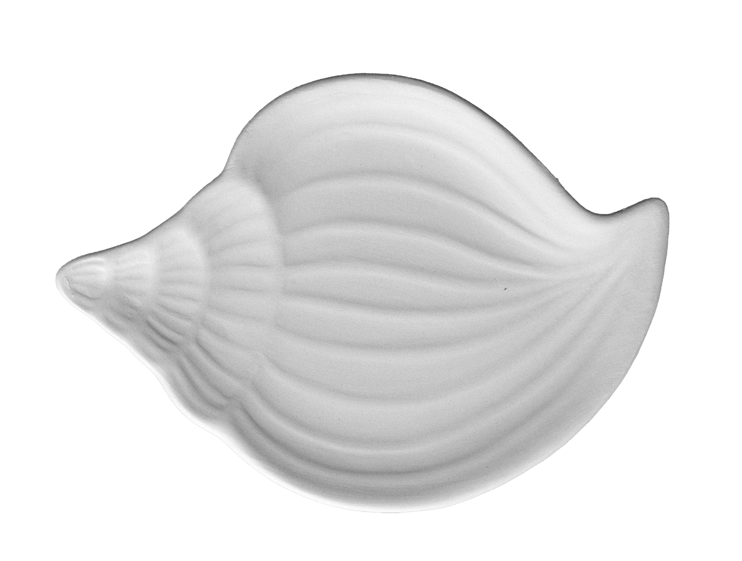 Muschel Teller SHELK