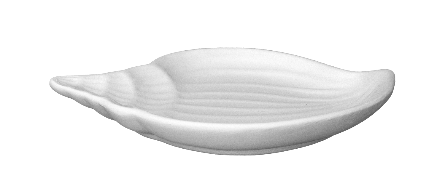 Muschel Teller SHELK